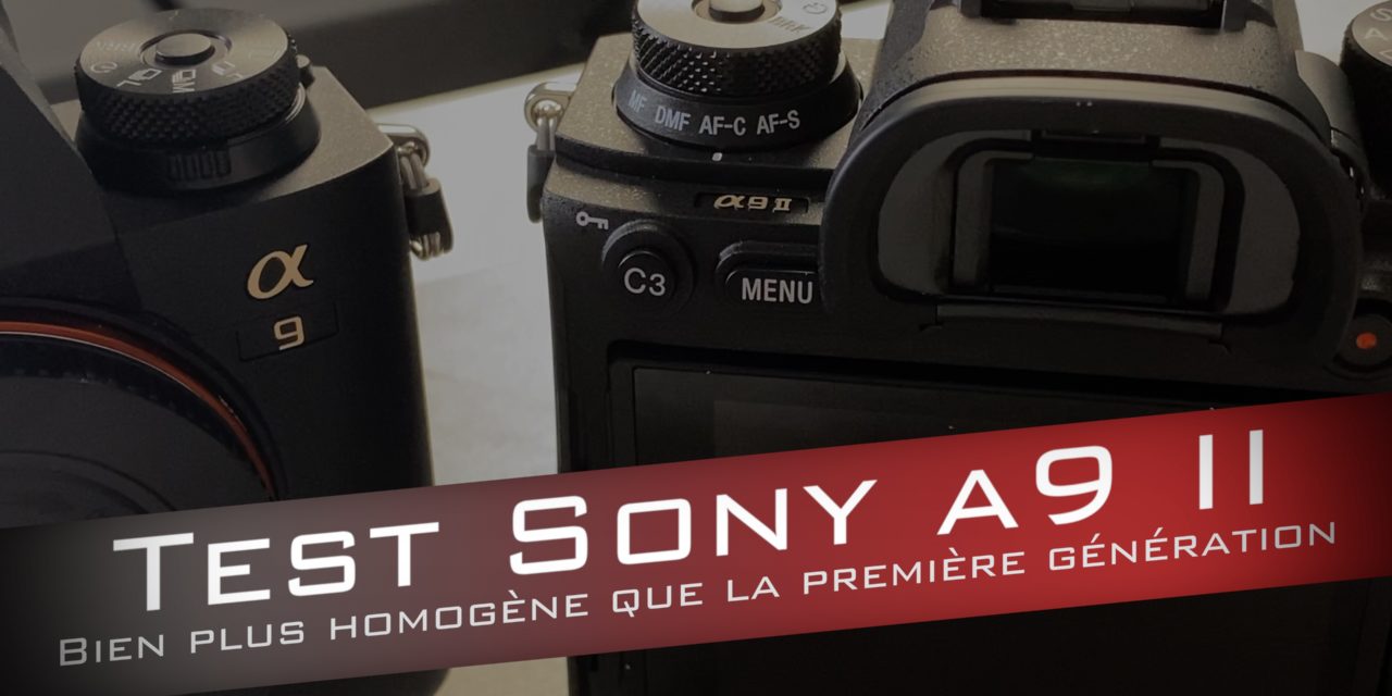 Test Sony A9 II : Bien plus homogène !
