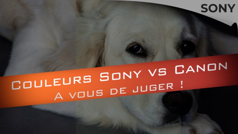 Avis couleurs hybride Sony