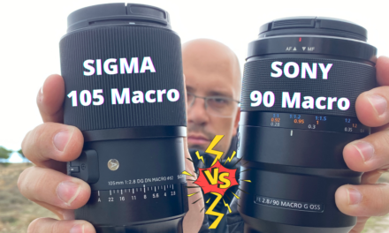 Comparatif Sigma 105mm 2.8 vs Sony 90mm 2.8 : quel macro choisir pour Sony ?