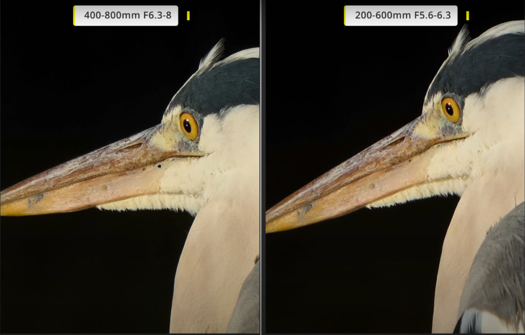Comparatif du piqué entre le Sony 400-800mm et le 200-600mm sur la photo d'un héron 